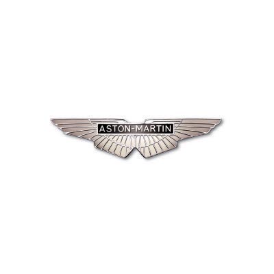 Custom aston martin logo iron on transfers (Decal Sticker) No.100127